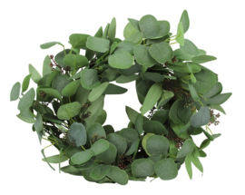 Leuk kransje van eucalyptus M