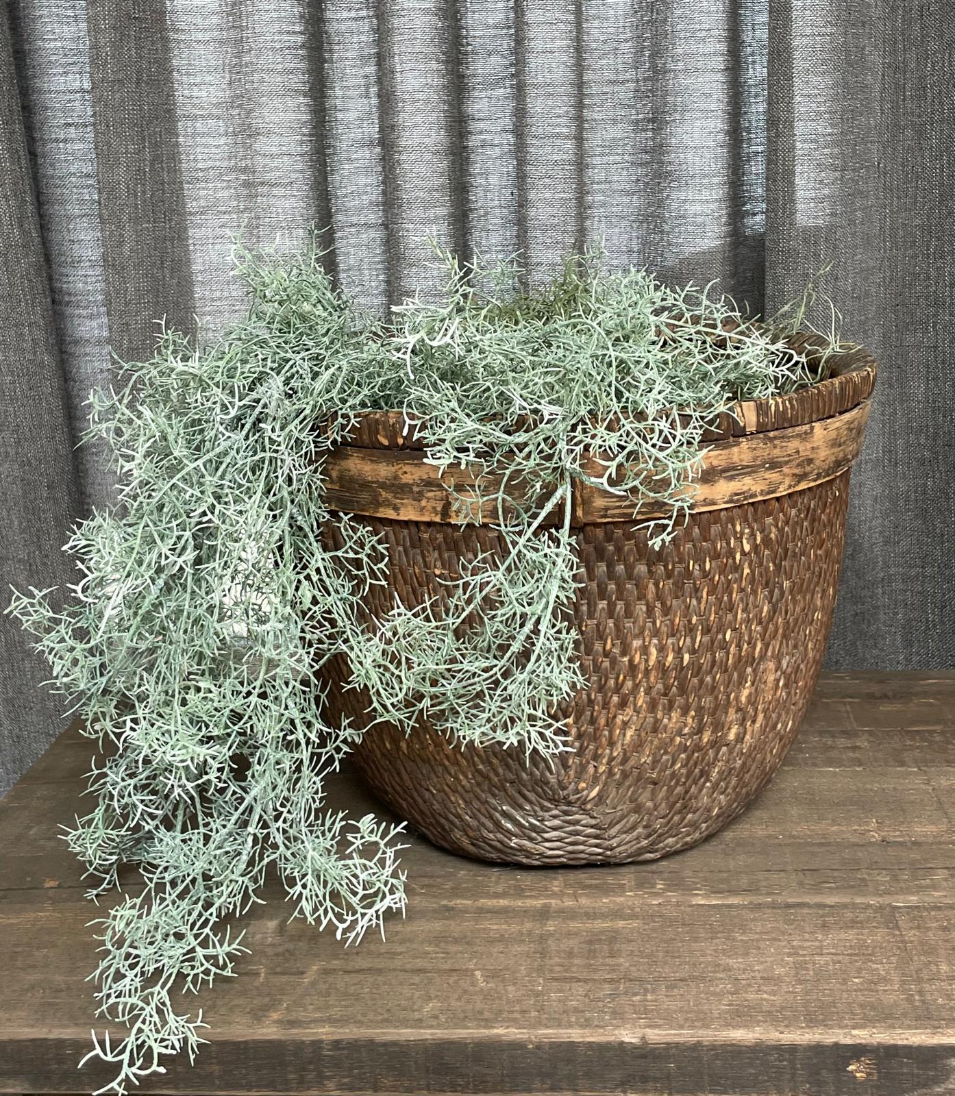 Stoere oude unieke mand