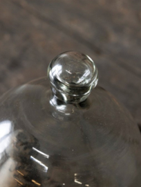 Mooi glazen stolp met knop