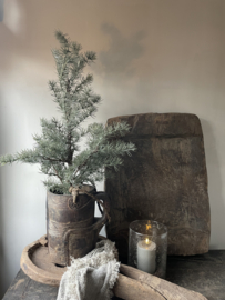 Mooie kerst kunst cedar in pot M