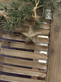 Hangornament Ster - PMR