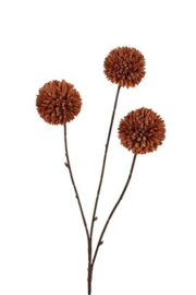 Pompon spray Coffee - large