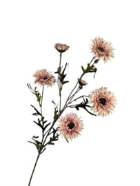 Mooie zijdetak daisy spray zalmroze