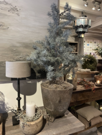 Mooie kerst kunst cedar in pot L