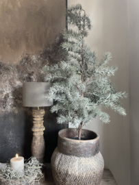 Mooie kerst kunst cedar in pot L