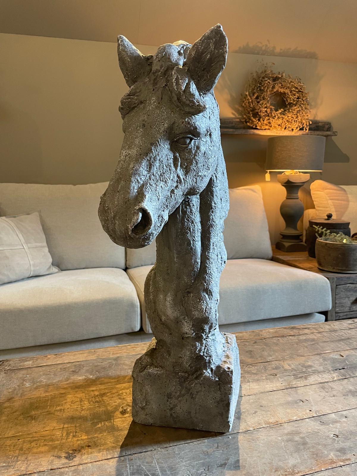 Zeer mooi paardenhoofd