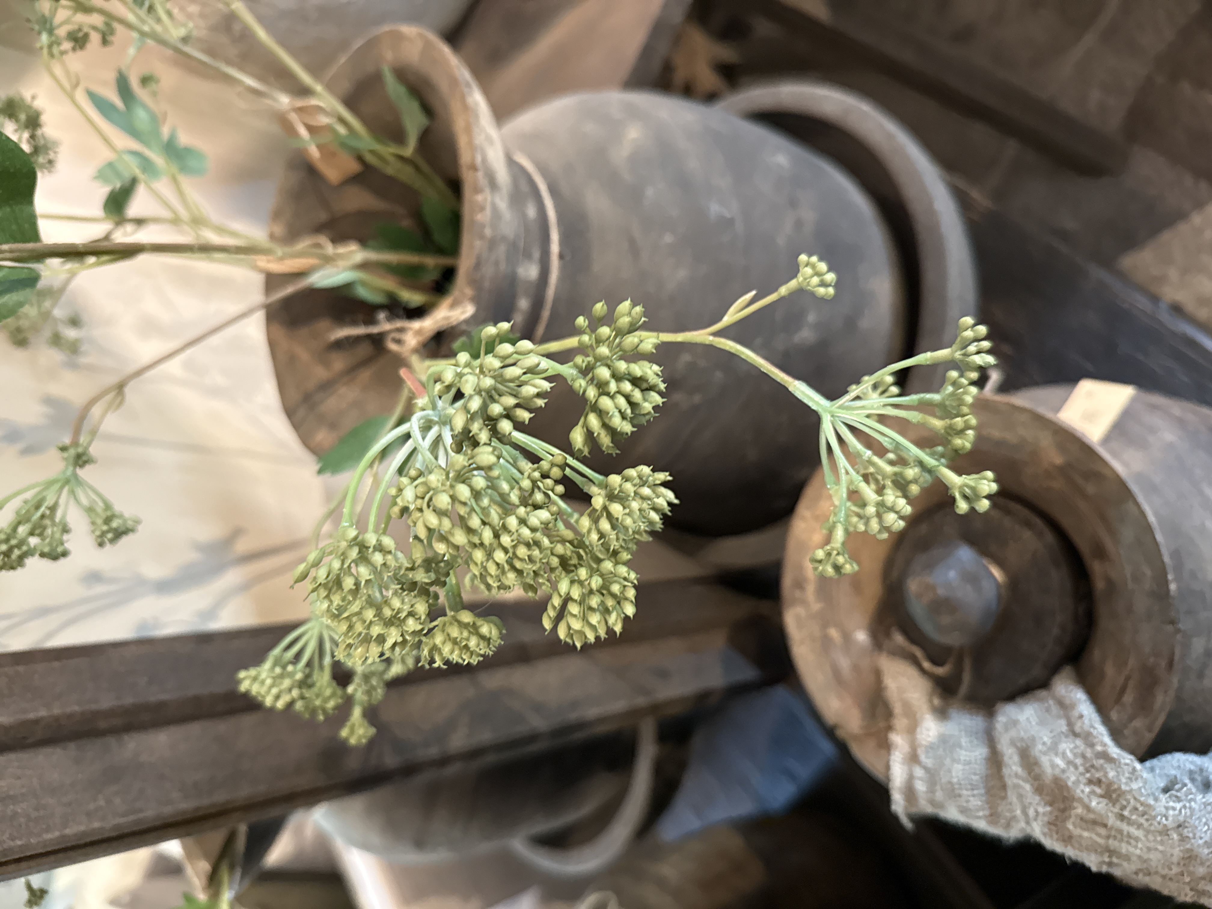 Mooie groene zijdetak