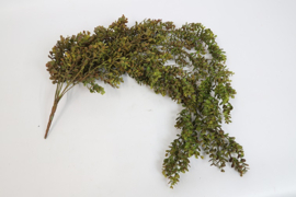 Leuk hangende kunsttak van bruin eucalyptus