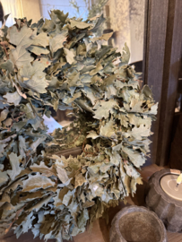 Groene krans van eikenblad 35 cm