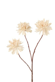 Dahlia spray beige