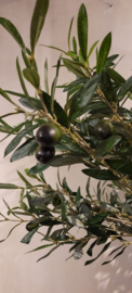 Mooie grote kunst olijfboom 160 cm