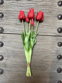 Mooie bos kunst tulpen rood