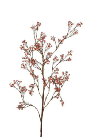 Gypsophylia tak 95 cm oranje