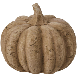 Mooie sobere beige stenen pompoenen -2 maten