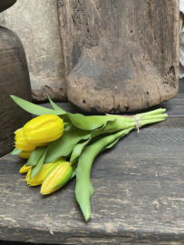 Mooie bos kunst tulpen  geel