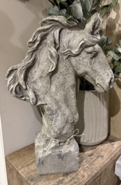 Stoer groot paard vergrijsd  XL