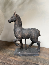 Mooi vergrijsd paard -groot