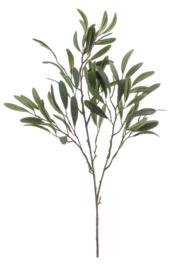 Mooie vergrijsde olijftakken 87 cm