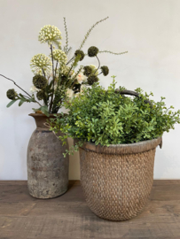 Unieke mand met hengsel