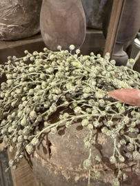 Mooie kunst dadeltak groen