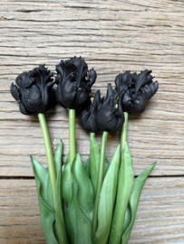 Mooie bos kunst tulpen  zwart