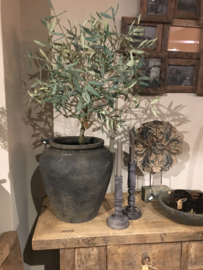 Olijfboom in pot 104 cm hoog