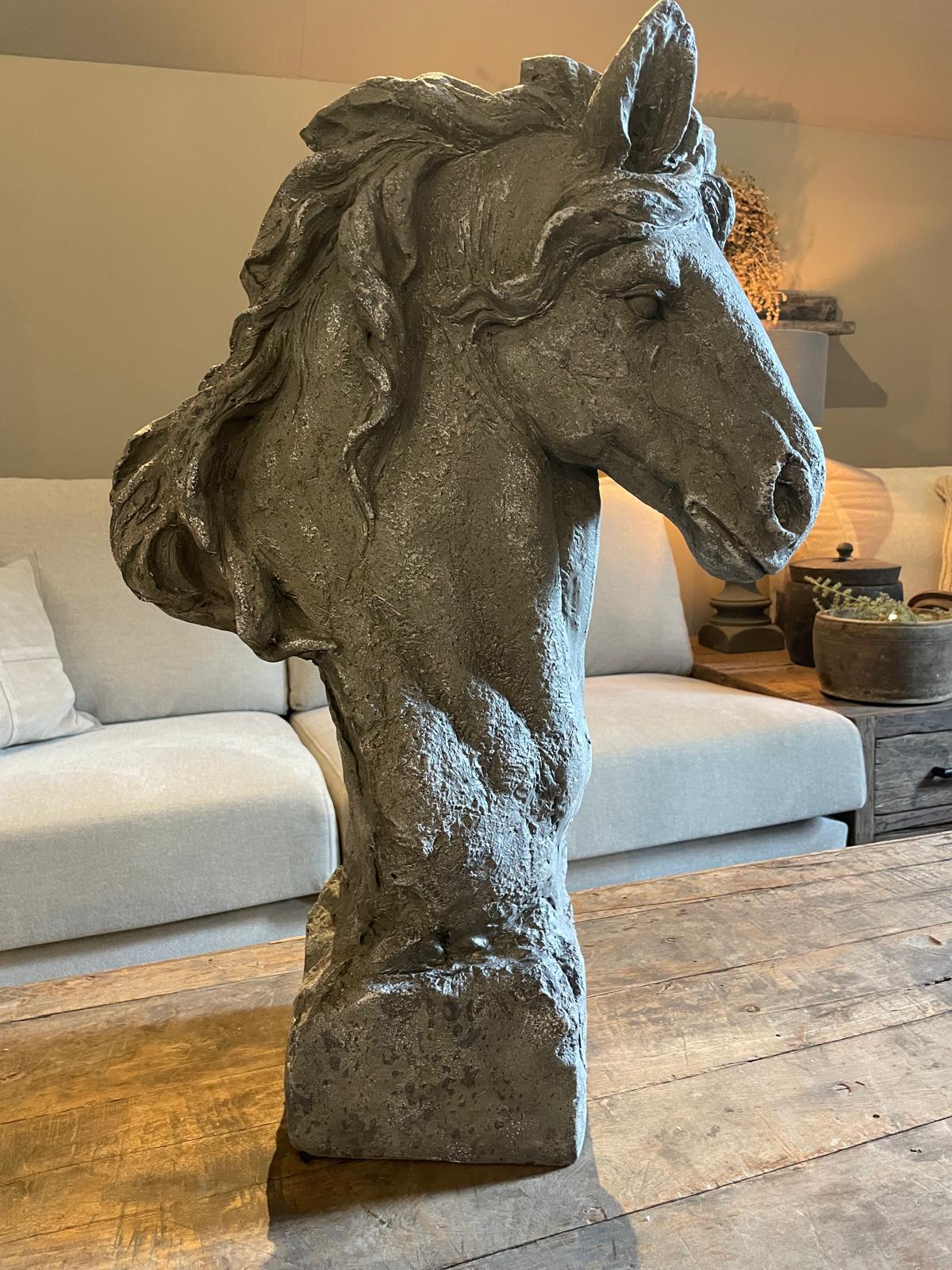Zeer mooi paardenhoofd