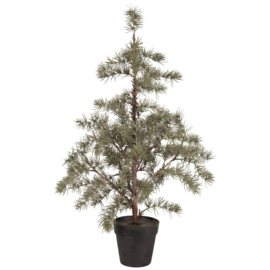 Mooie kerst kunst cedar in pot M