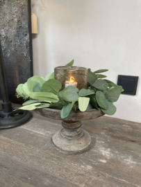 Leuk kransje van eucalyptus xs