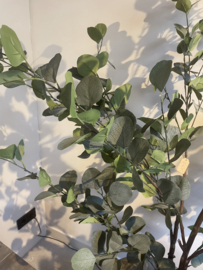 Mooie grote kunst eucalyptus plant 180 cm