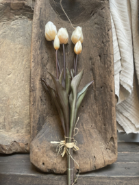Mooie bos kunst tulpen wit