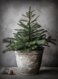 Schilderij canvas kerstboom
