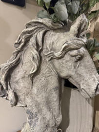 Stoer groot paard vergrijsd  XL