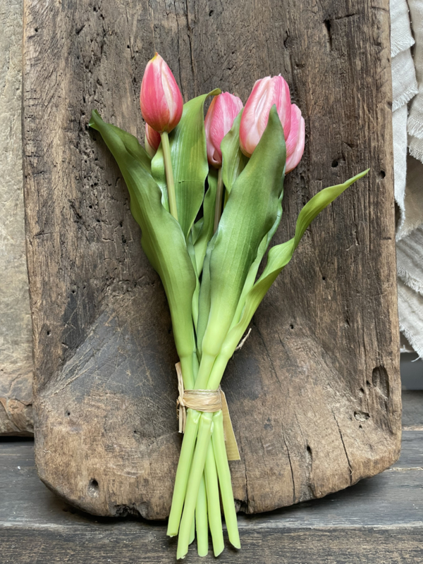 Mooie bos kunst tulpen donkerroze
