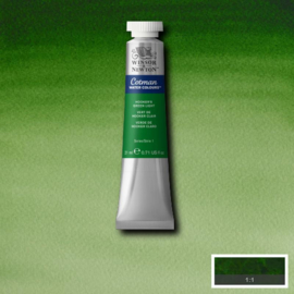 Cotman Hooker's green Light 21 ml tube