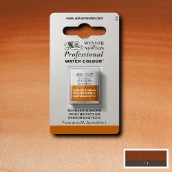 W&N Pro Water Colour ½ nap Magnesium Brow S.1