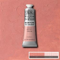 Winton 257 Flesh Tint/  Pale rose blush  37 ml