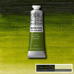 Winton  599 Sap Green 37 ml
