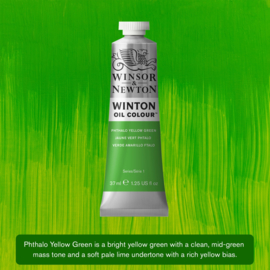 Winton  403 Phtalo yellow Green  37 ml