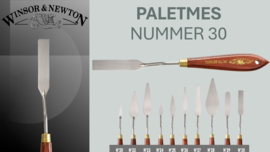 Winsor & Newton Paletmes 30