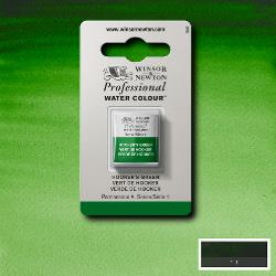 W&N Pro Water Colour ½ nap Hooker's Green S1