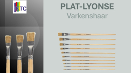 Kangaro Varkenshaar penselen plat  p/st. ( prijs vanaf)