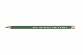 KIN-Polycolor nr.61   Sap  Green