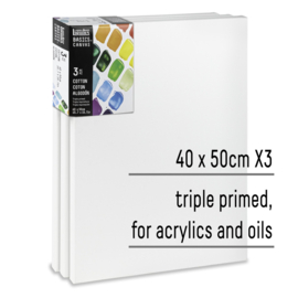 Liquitex Basics Canvas Set 3 stuks 40 x 50 cm