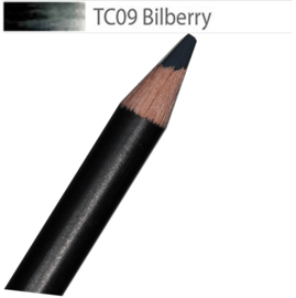 Derwent Tinted Charcoal BILBERRY