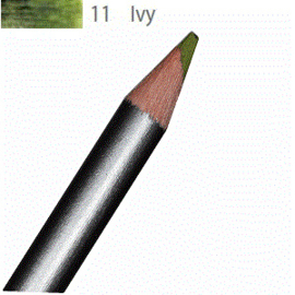 Derwent Graphitint Pencil  11 -IVY