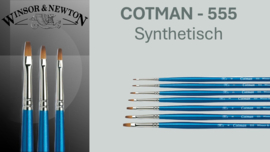 Winsor & Newton Cotman Serie 555 Short & flat  lange steel p/st. (prijs vanaf)