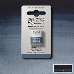 W&N Pro Water Colour ½ nap Payne's Grey S.1