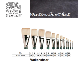 Winton  brush Short &  flat p/st. (prijs vanaf)