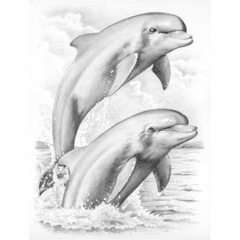 Schets-BN4- Dolfhins